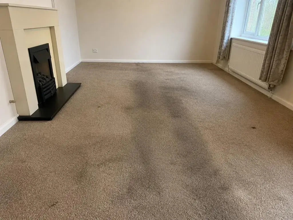 Carpet before professional extraction cleaning