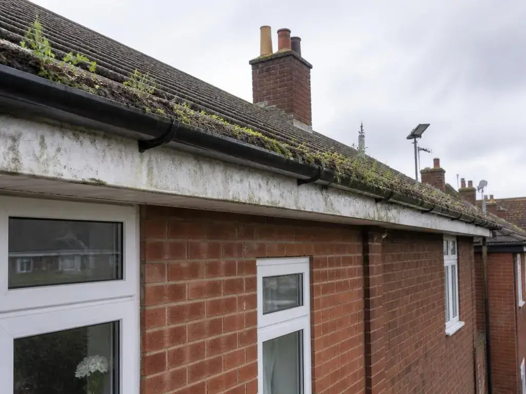 Roofline before exterior cleaning
